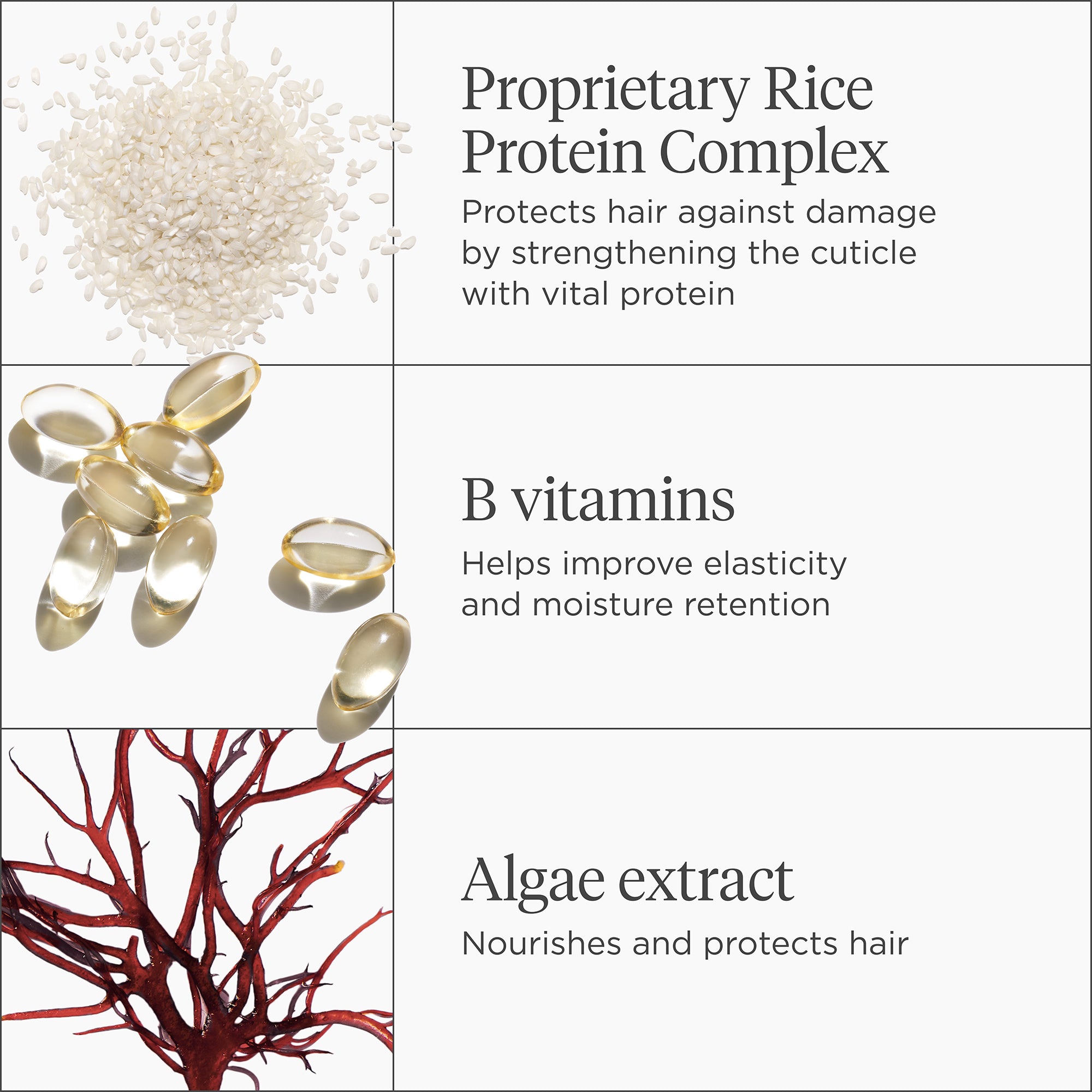 Don't Despair Repair! MegaStrength+ Rice Water Protein + Moisture Strengthening Treatment - Briogeo