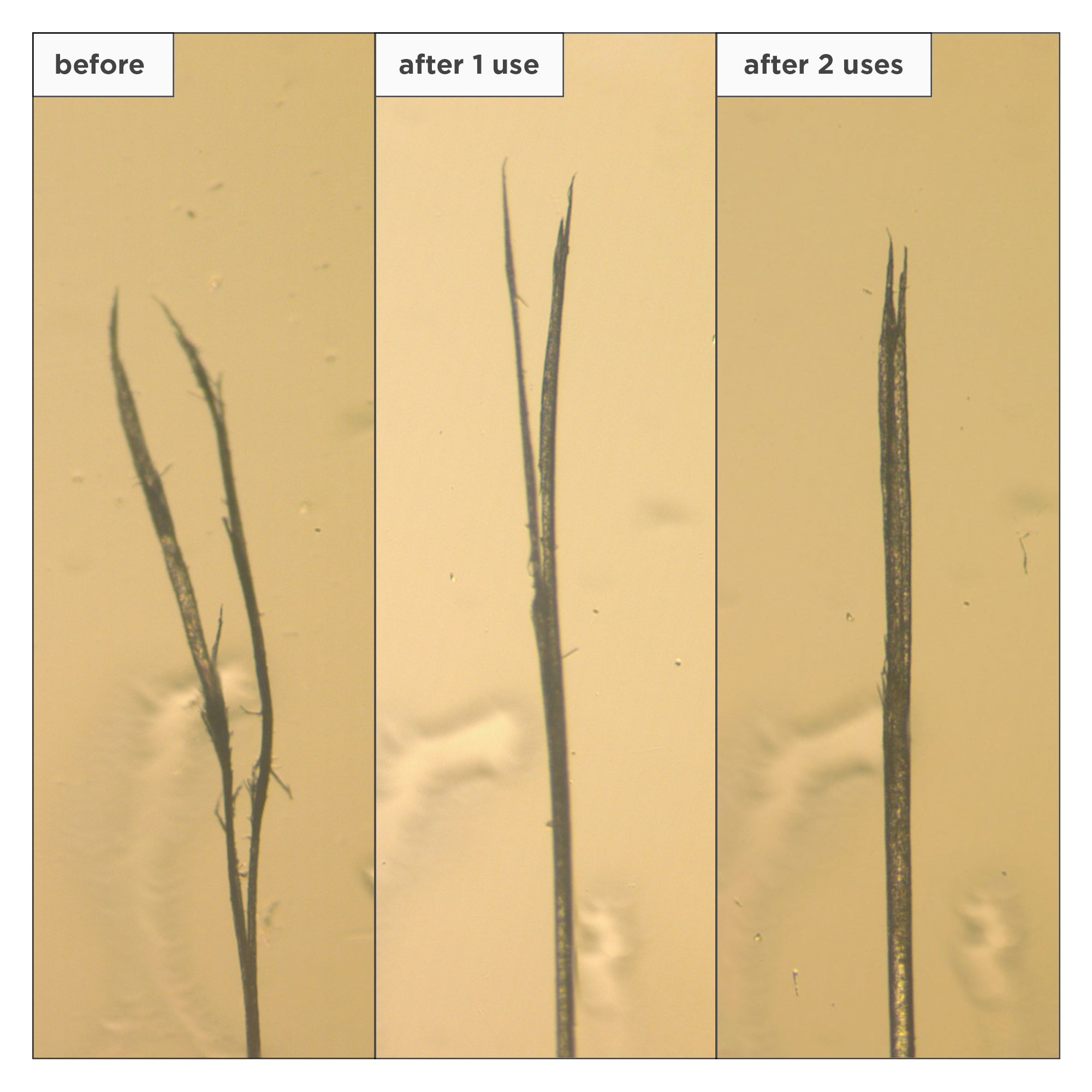 Don’t Despair Repair!™ Moisture + Damage Defense Leave-In Treatment - Briogeo