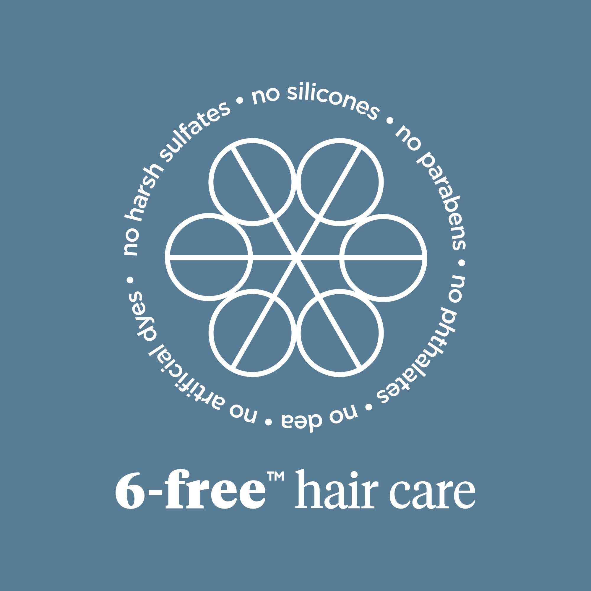 Scalp Revival Charcoal + Tea Tree Buildup Detox Spray - Briogeo
